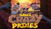 Three Crazy Piggies